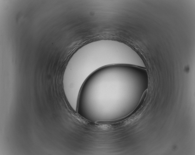 X0000091550432200708171044