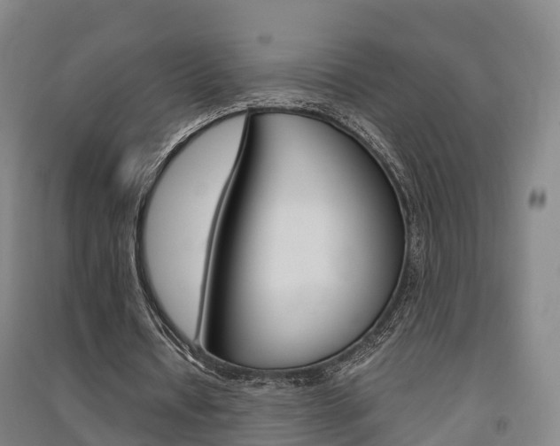 X0000091550434200708171044