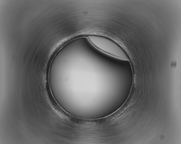 X0000091550438200708171044