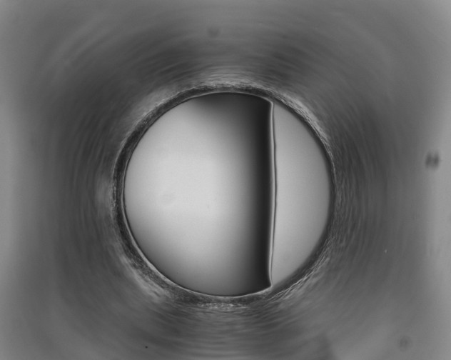 X0000091550439200708171044