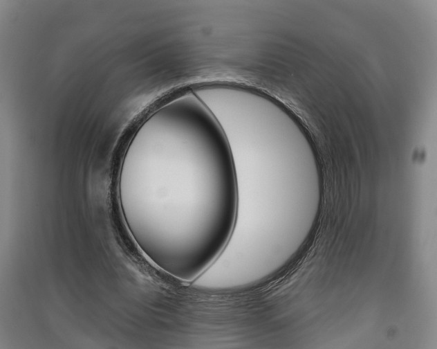 X0000091550440200708171044