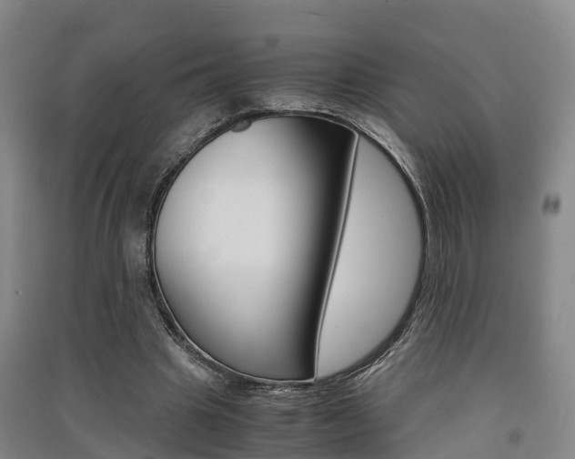 X0000091550441200708171044