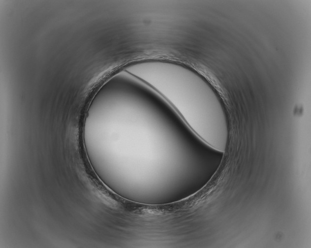 X0000091550442200708171044