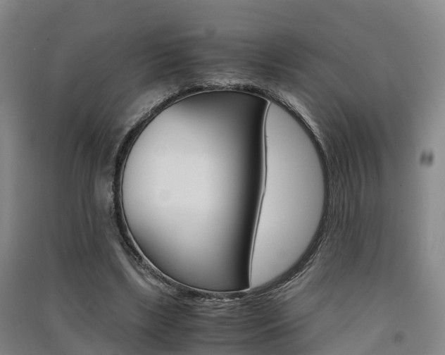 X0000091550443200708171044