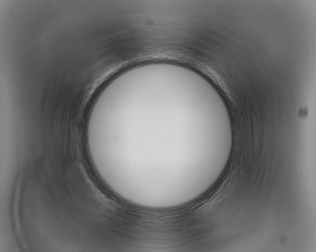 X0000091550444200708171044