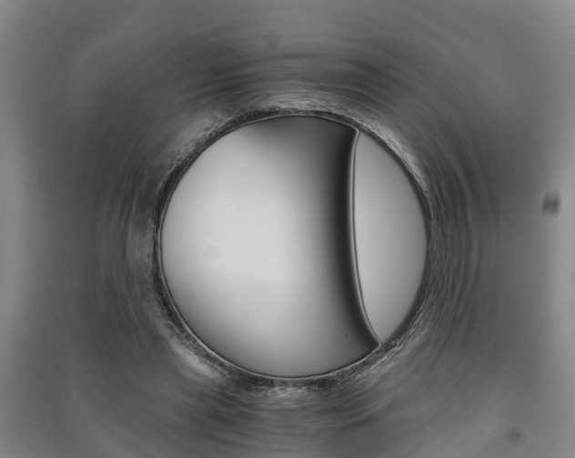 X0000091550445200708171044