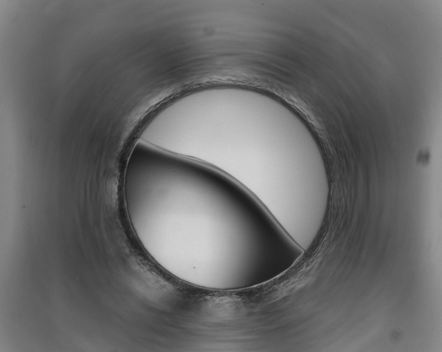 X0000091550446200708171044