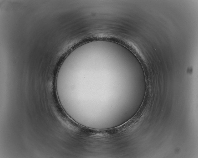 X0000091550447200708171044