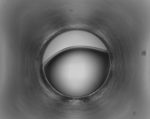 X0000091550448200708171044
