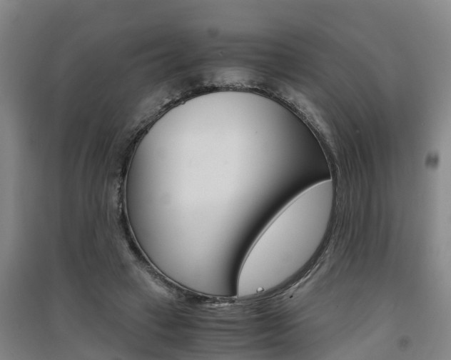 X0000091550449200708171044