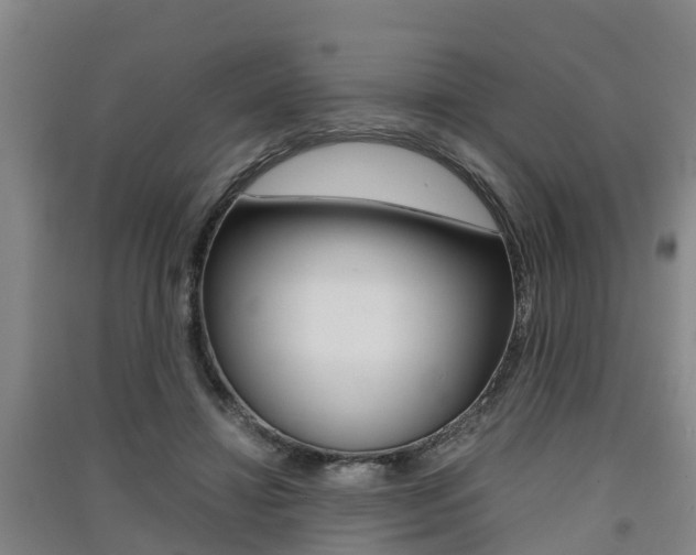 X0000091550452200708171044