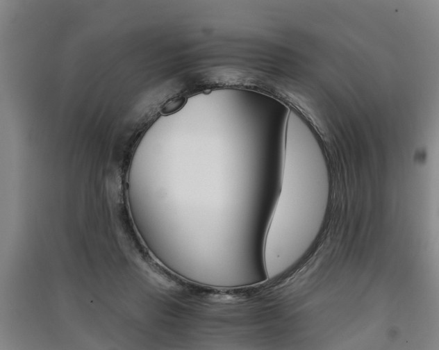 X0000091550453200708171044