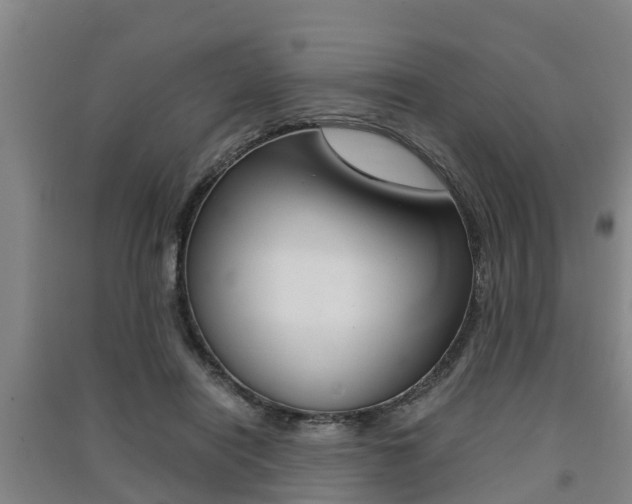X0000091550454200708171044