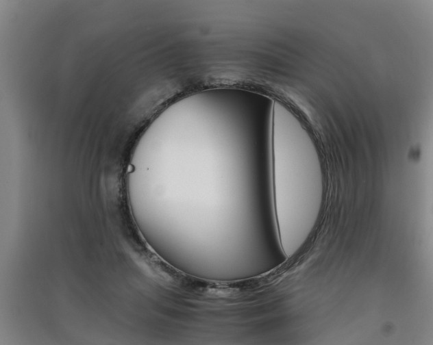 X0000091550455200708171044