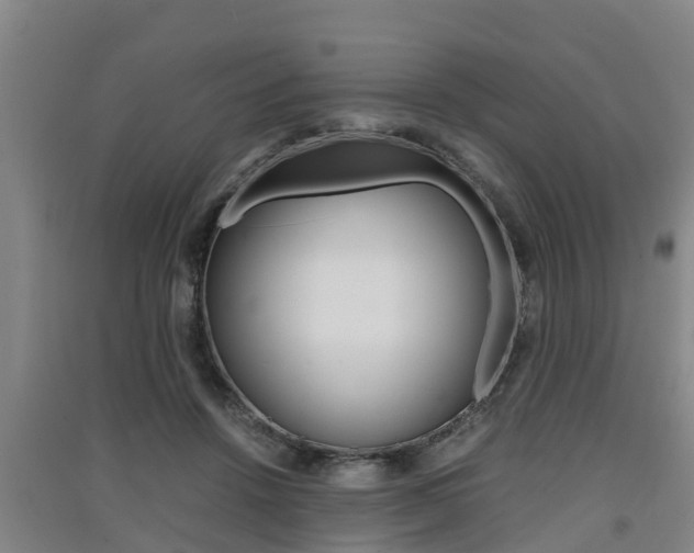 X0000091550456200708171044