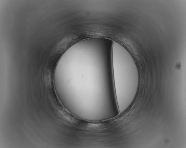 X0000091550457200708171044