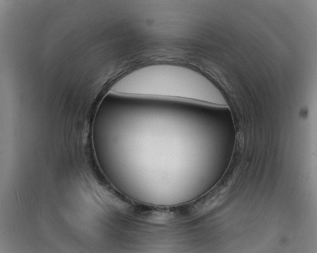 X0000091550458200708171044