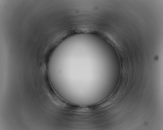 X0000091550459200708171044