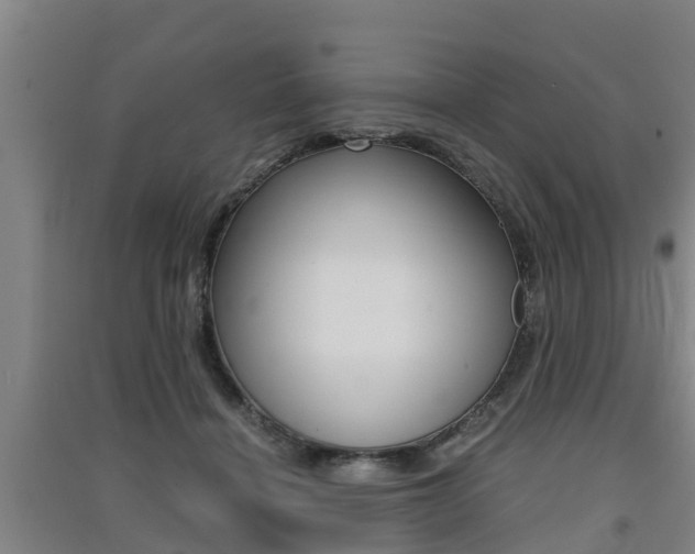 X0000091550460200708171044