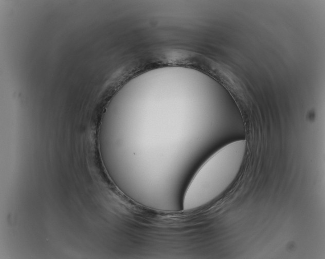 X0000091550461200708171044