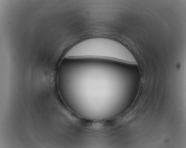 X0000091550462200708171044