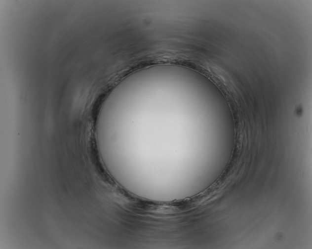X0000091550463200708171044