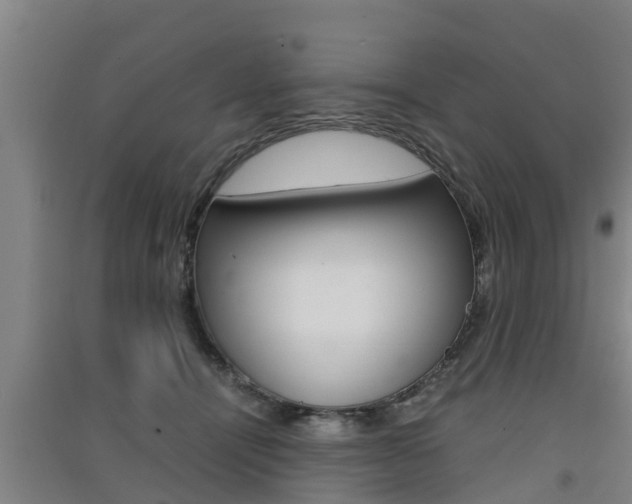 X0000091550464200708171044