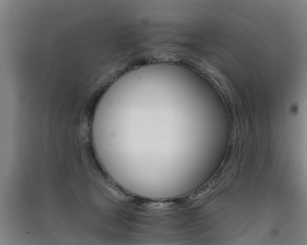X0000091550465200708171044