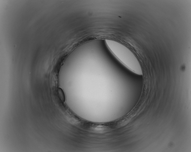 X0000091550467200708171044