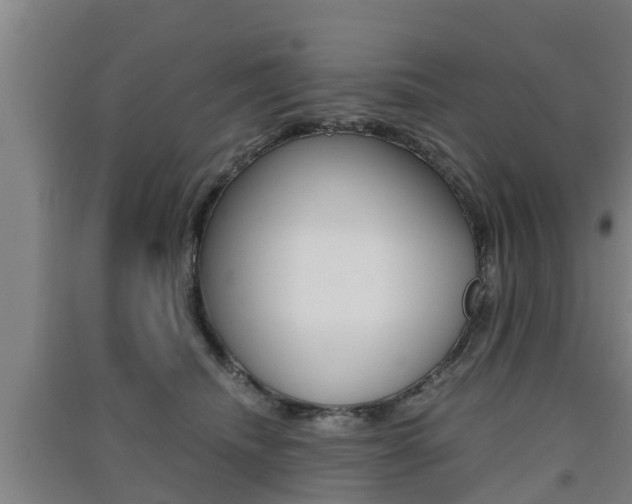 X0000091550468200708171044