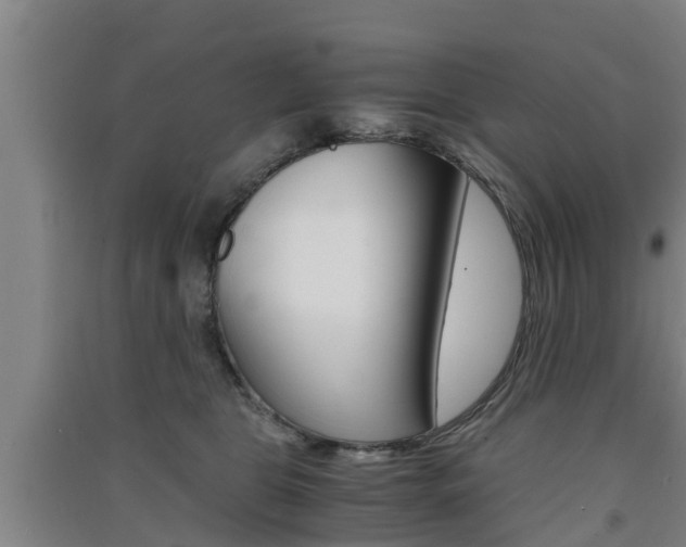 X0000091550469200708171044