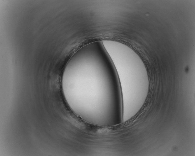 X0000091550470200708171044