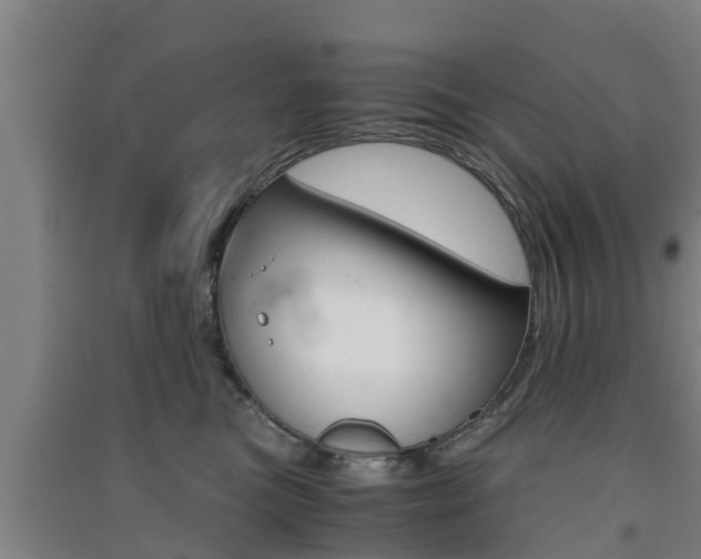 X0000091550473200708171044