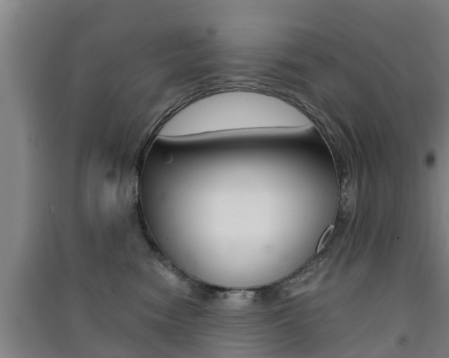 X0000091550474200708171044