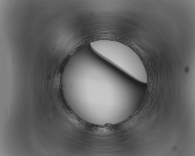 X0000091550475200708171044