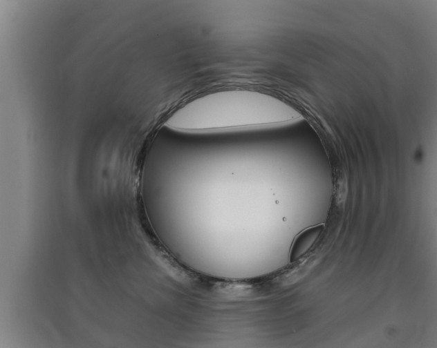 X0000091550476200708171044