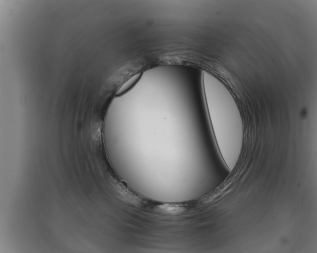 X0000091550477200708171044