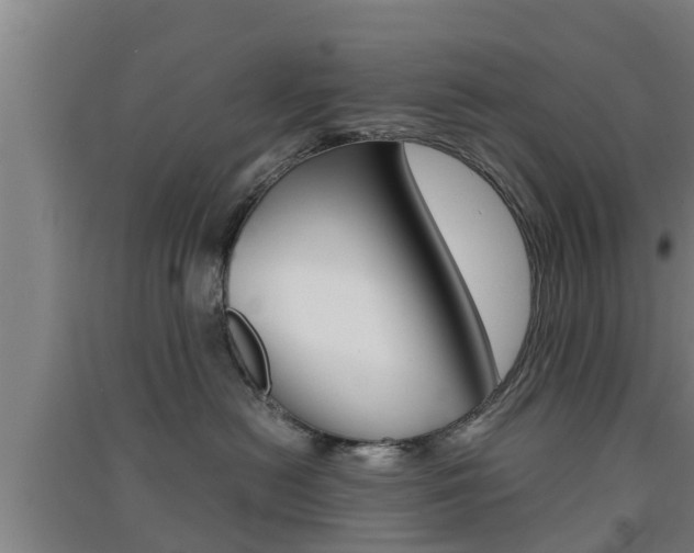 X0000091550478200708171044