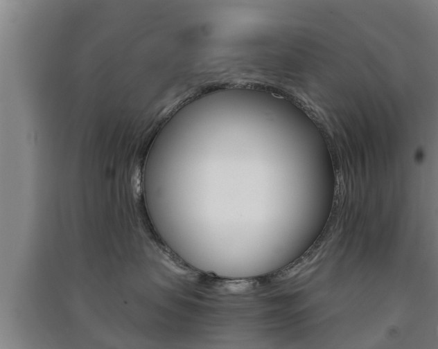 X0000091550479200708171044