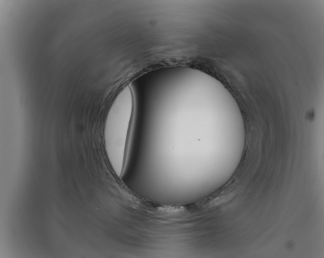 X0000091550480200708171044