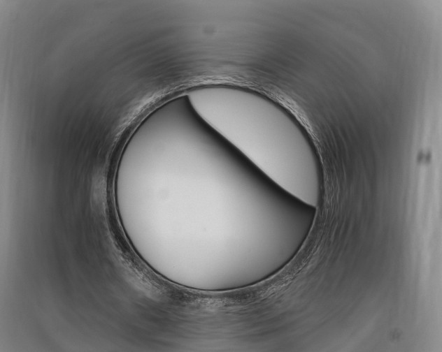 X0000091550482200708171044