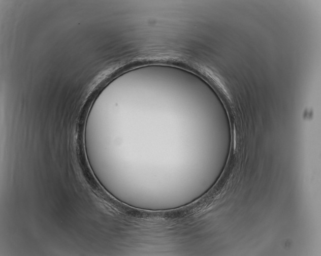 X0000091550483200708171044