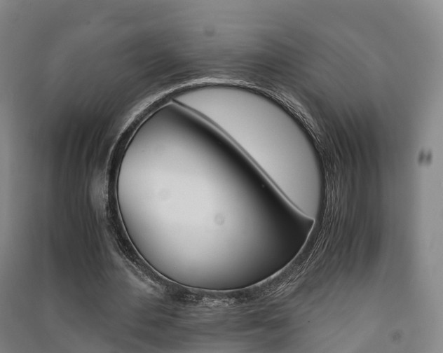 X0000091550484200708171044