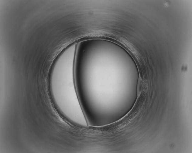 X0000091550485200708171044