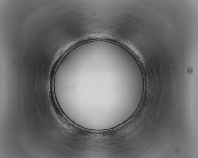 X0000091550486200708171044