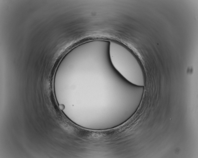 X0000091550487200708171044