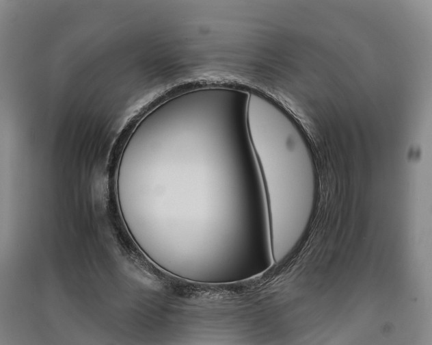 X0000091550488200708171044