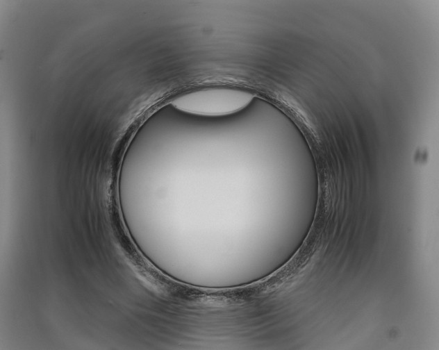 X0000091550490200708171044