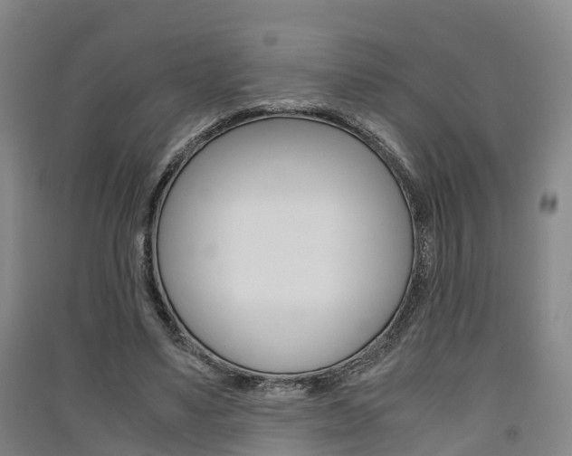 X0000091550491200708171044