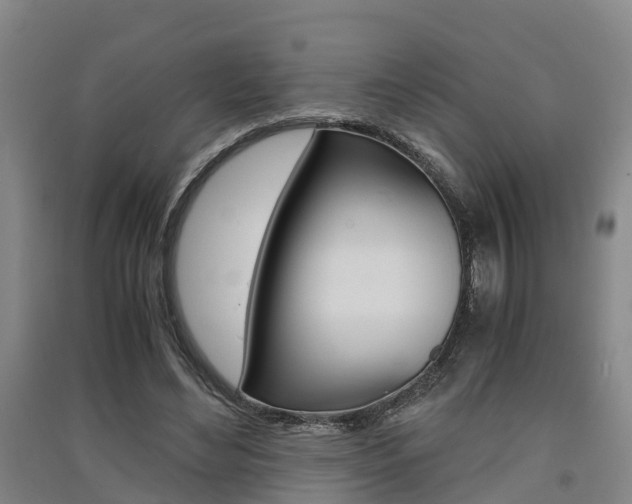 X0000091550492200708171044